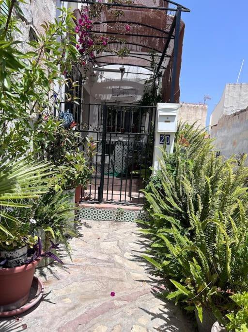 Amazing Sea And Mountain View! Casita Pinata Apartment Salobrena Exterior photo