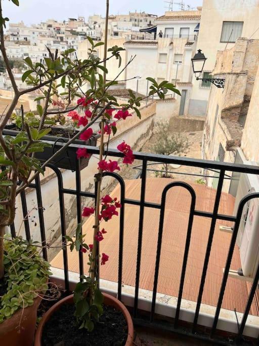 Amazing Sea And Mountain View! Casita Pinata Apartment Salobrena Exterior photo