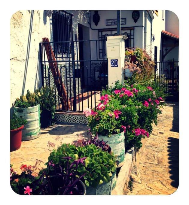 Amazing Sea And Mountain View! Casita Pinata Apartment Salobrena Exterior photo