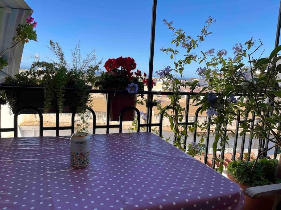 Amazing Sea And Mountain View! Casita Pinata Apartment Salobrena Exterior photo